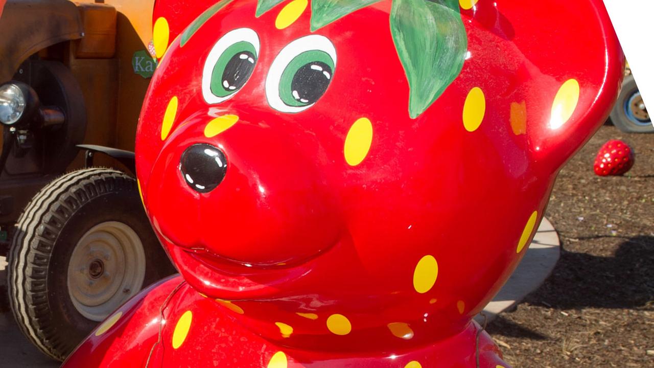 Ein Maskottchen von Karls Erdbeerhof Ein Maskottchen von Karls Erdbeerhof