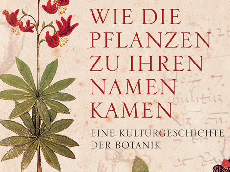 Wie die Pflanzen zu ihren Namen kamen