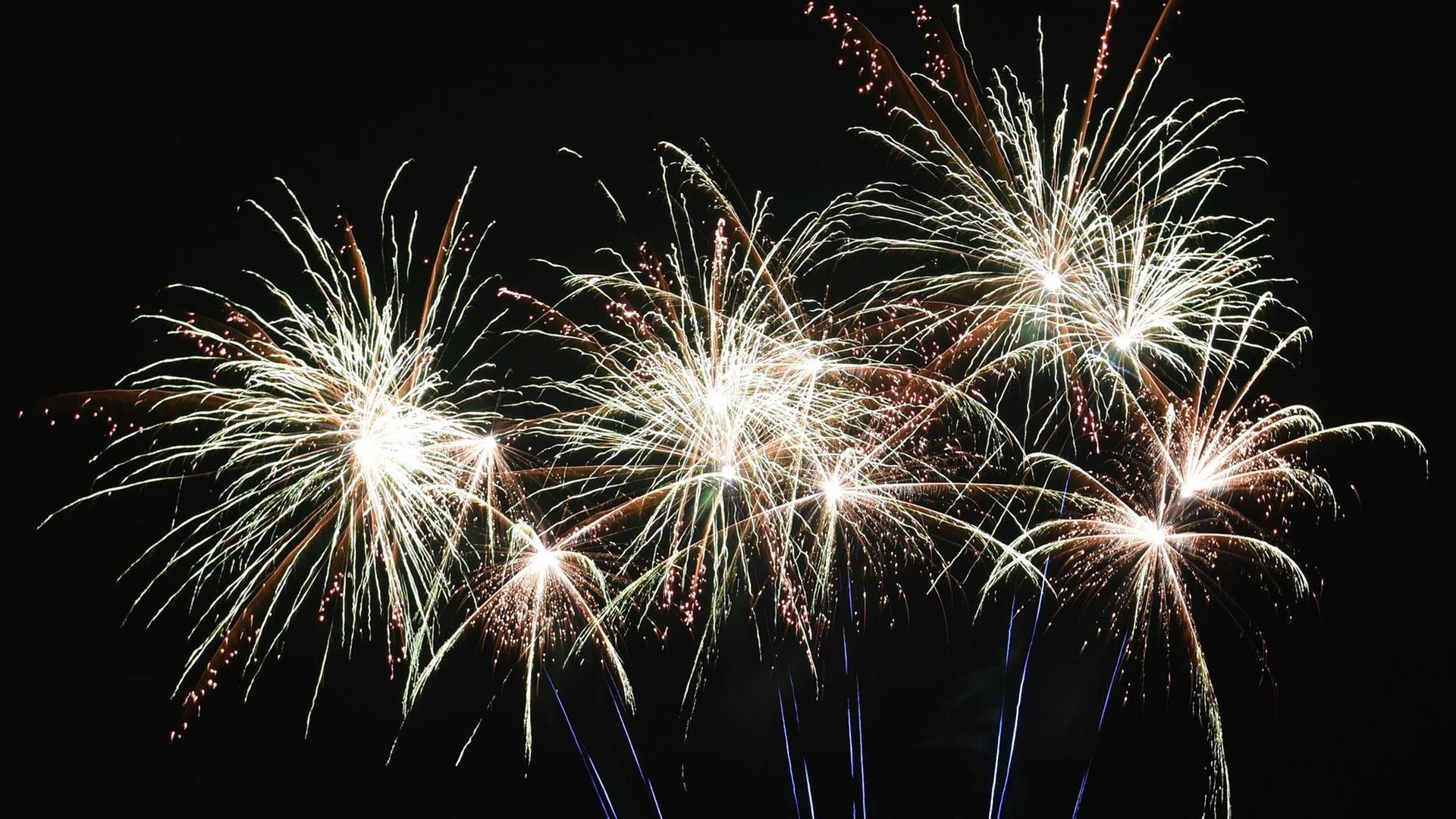 20.12.2018, Bremen, Bremerhaven: Die Comet Feuerwerk GmbH, ein Unternehmen für Pyrotechnik, stellt ihre neuesten Produkte für das Silvesterfeuerwerk mit einem Probeschießen vor. Das Unternehmen macht den Großteil seines Jahresumsatzes in den letzten drei Werktagen im Dezember. Foto: Carmen Jaspersen/dpa | Verwendung weltweit 20.12.2018, Bremen, Bremerhaven: Die Comet Feuerwerk GmbH, ein Unternehmen für Pyrotechnik, stellt ihre neuesten Produkte für das Silvesterfeuerwerk mit einem Probeschießen vor. Das Unternehmen macht den Großteil seines Jahresumsatzes in den letzten drei Werktagen im Dezember. Foto: Carmen Jaspersen/dpa | Verwendung weltweit