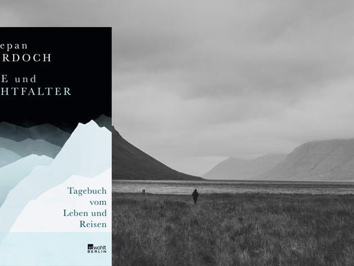 Cover von Szczepan Twardochs Buch "Wale und Nachtfalter. Tagebuch vom Leben und Reisen". Im Hintergrund ist ein Schwarz-Weiß-Foto einer nebeligen Landschaft zu sehen.