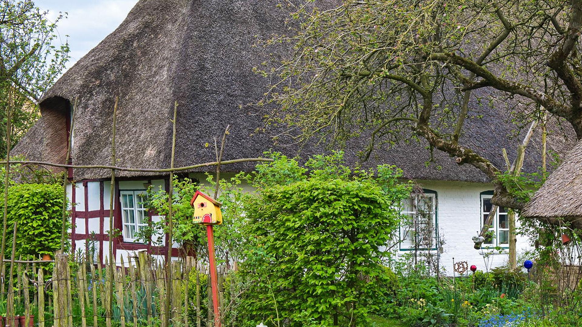 Bauerngarten in Hestoft an der Scheli Bauerngarten in Hestoft an der Scheli
