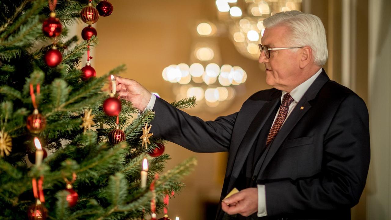 Bundespräsident Frank-Walter Steinmeier steht neben einem Weihnachtsbaum Bundespräsident Frank-Walter Steinmeier steht neben einem Weihnachtsbaum
