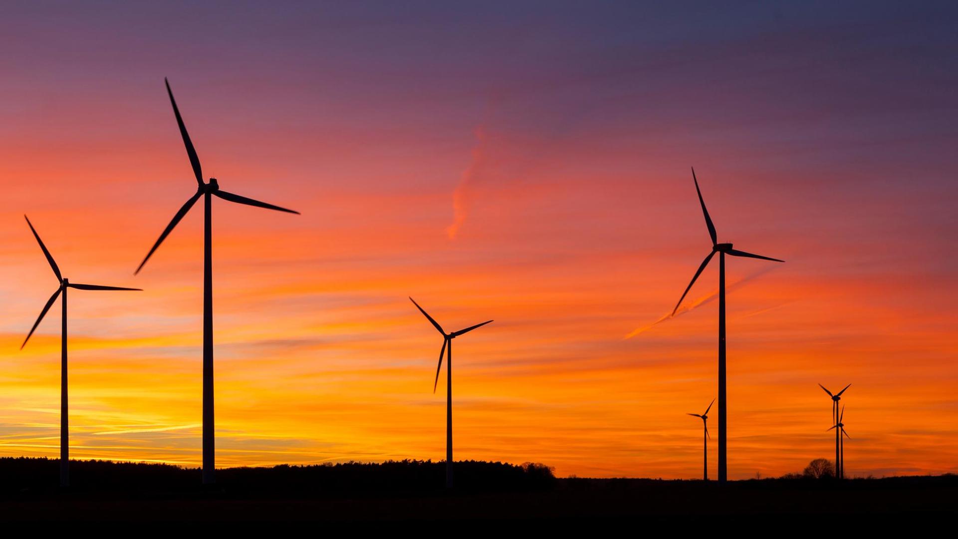 DEU/Deutschland/Brandenburg/Wormlage, 07.01.2014: Windenergie in Brandenburg; Windraeder stehen auf einem Feld bei Wormlage in der brandenburgischen Lausitz vor dem vom Sonnenuntergang rot gefaerbten Abendhimmel. // Wind engines on a field near Wormlage in Brandenburg. // **Foto: Andreas Franke** | Verwendung weltweit DEU/Deutschland/Brandenburg/Wormlage, 07.01.2014: Windenergie in Brandenburg; Windraeder stehen auf einem Feld bei Wormlage in der brandenburgischen Lausitz vor dem vom Sonnenuntergang rot gefaerbten Abendhimmel. // Wind engines on a field near Wormlage in Brandenburg. // **Foto: Andreas Franke** | Verwendung weltweit