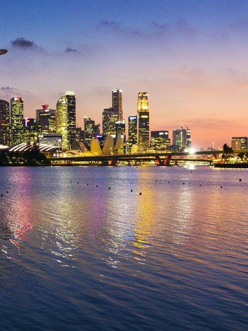 Blick auf die abendliche Skyline von Singapur.
