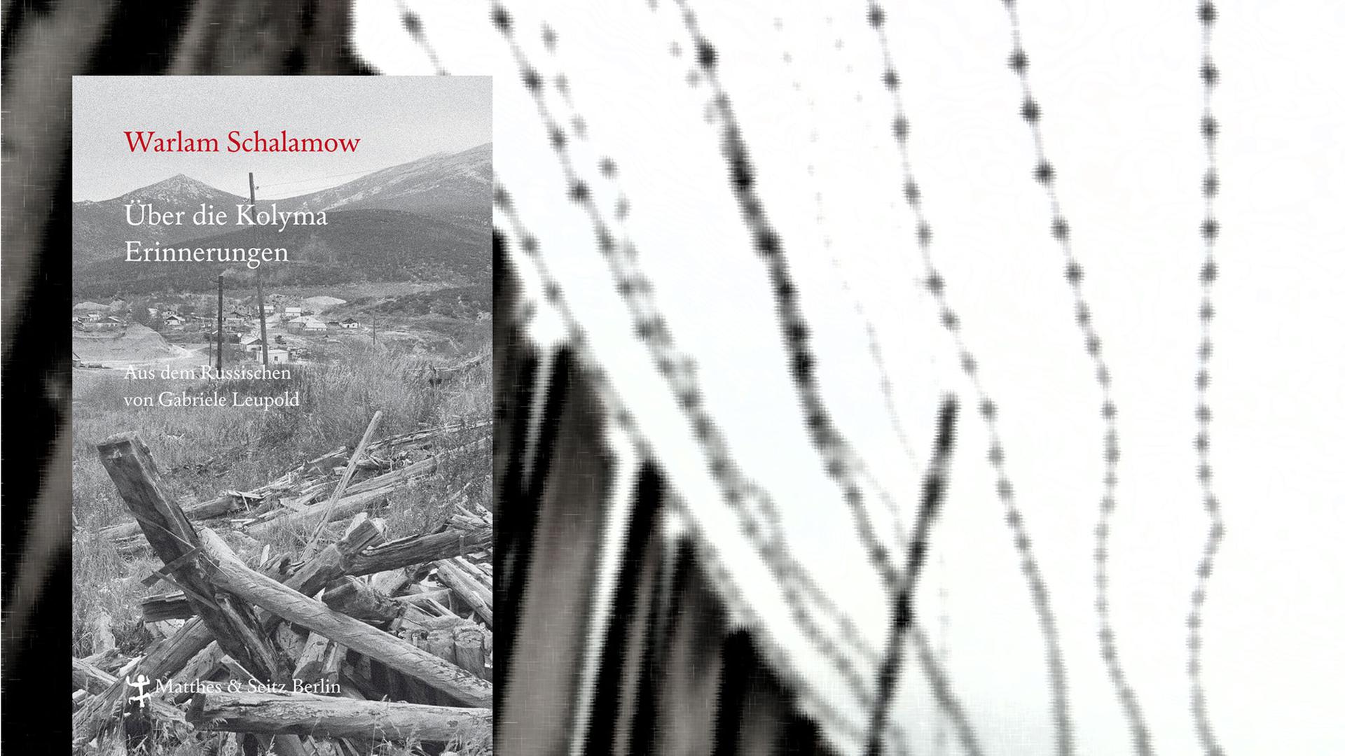 Im Vordergrund das Cover von Warlam Schalamows "Über die Kolyma", im Hintergrund ein Holzbretterzaun und Stacheldraht eines ehemaligen sowjetischen Straflagers. Im Vordergrund das Cover von Warlam Schalamows "Über die Kolyma", im Hintergrund ein Holzbretterzaun und Stacheldraht eines ehemaligen sowjetischen Straflagers.