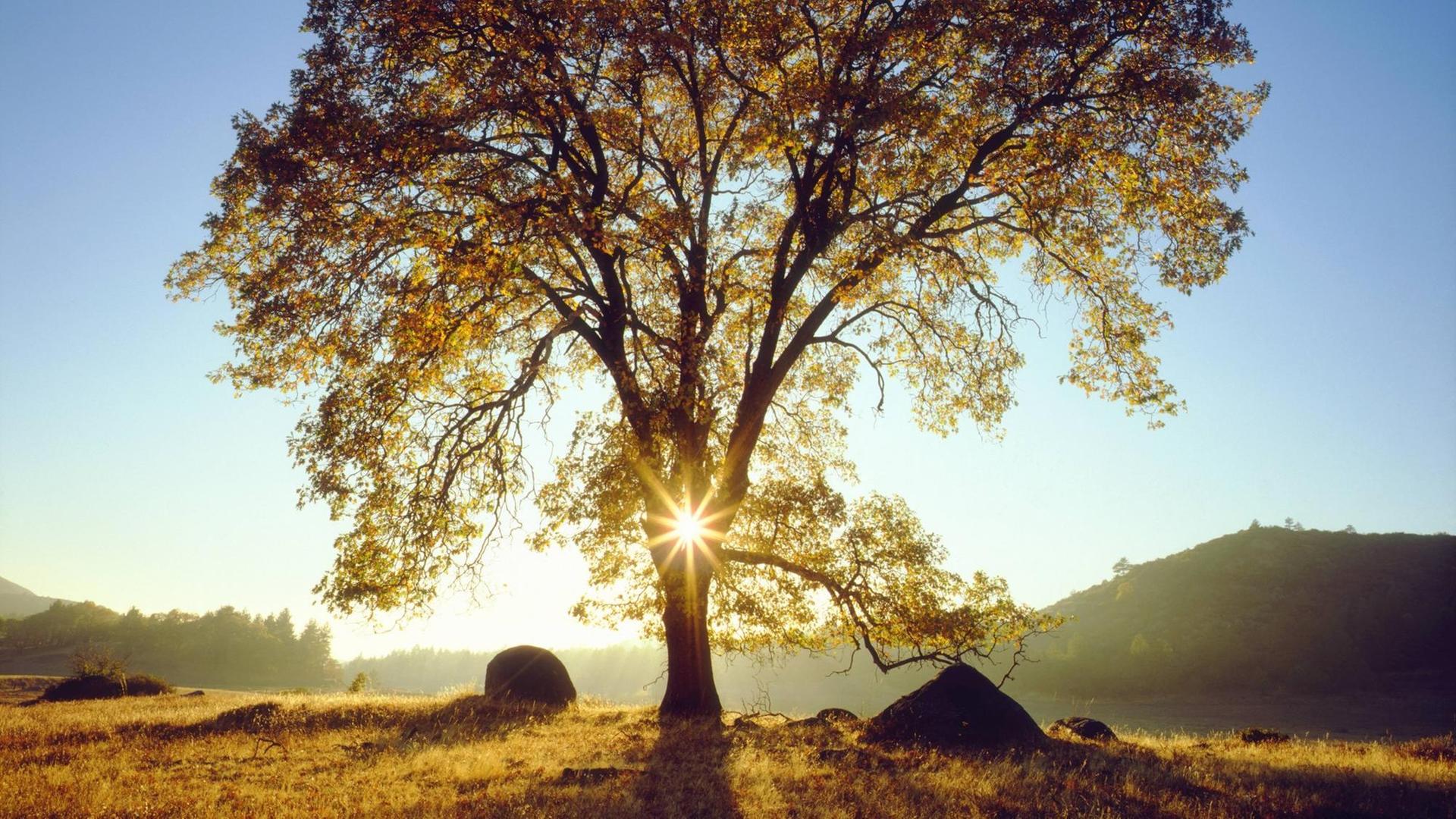 Wenn das Glück nicht im Zwischenmenschlichen liegt, ist es vielleicht in der Natur? Wenn das Glück nicht im Zwischenmenschlichen liegt, ist es vielleicht in der Natur?