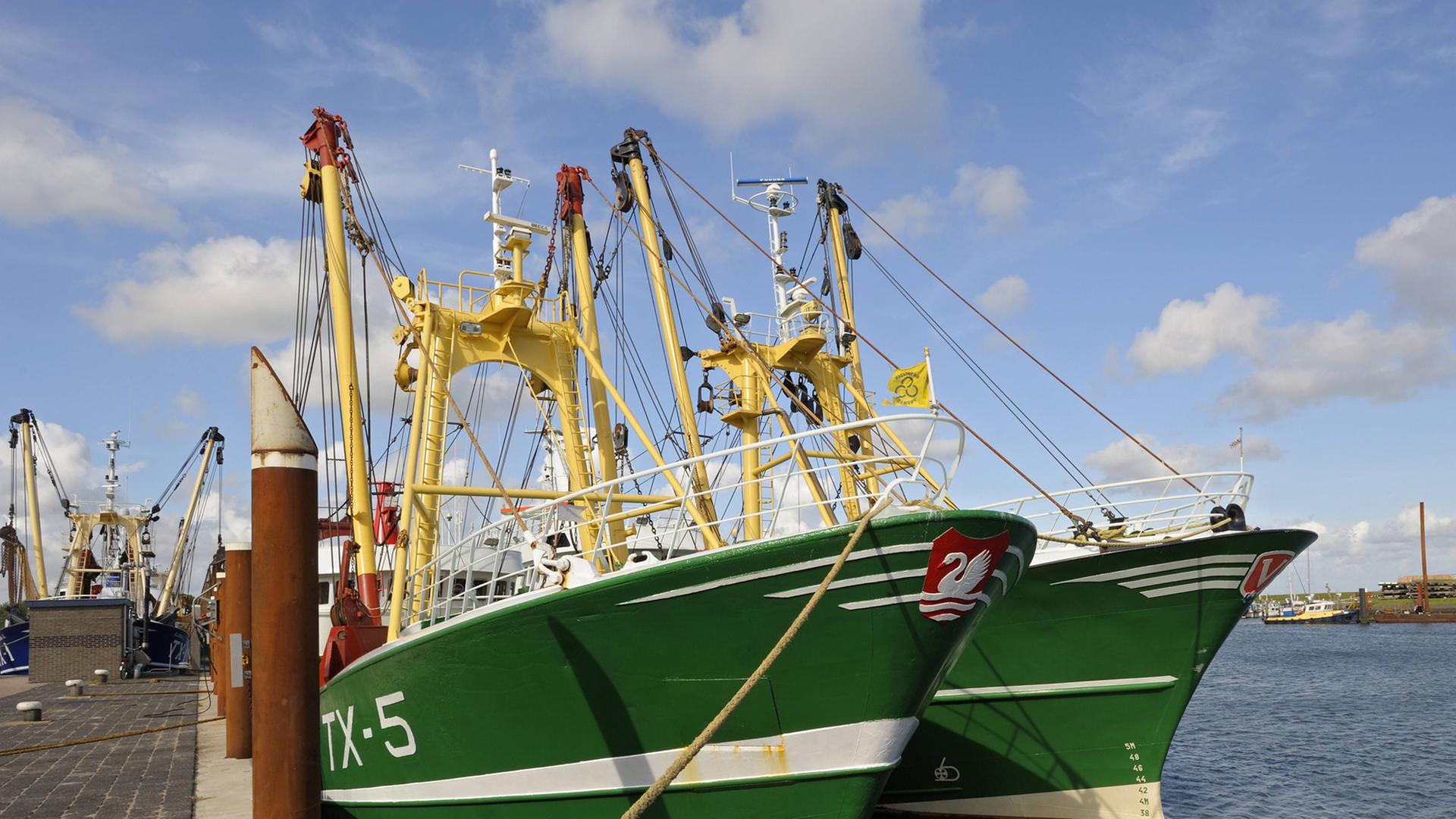 Fischfangschiffe im Hafen von Texel, Niederlande Fischfangschiffe im Hafen von Texel, Niederlande