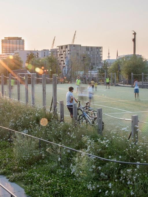 Der Baakenpark in Hamburg, entworfen vom Atelier Loidl. Zu sehen ist ein kleiner Fußballplatz, auf dem Menschen Fußball spielen. Drum herum wachsen Pflanzen. Im Hintergrund sieht man moderne Wohnhäuser.