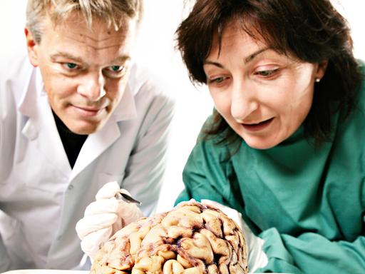 Norwegische Wissenschaftler begutachten ein menschliches Gehirn.