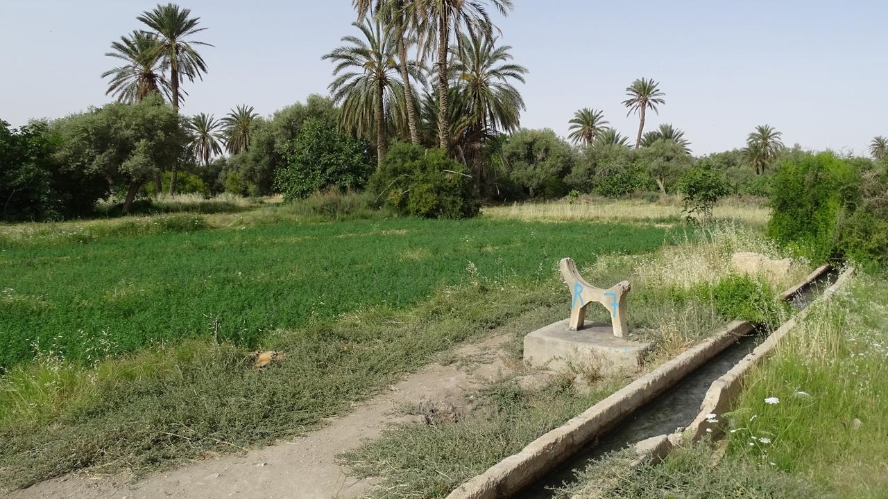 Wasserleitung im Gafsa-Oasen-Projekt in Tunesien: Die alte Bewässerungsanlage ist dringend erneuerungsbedürftig Wasserleitung im Gafsa-Oasen-Projekt in Tunesien: Die alte Bewässerungsanlage ist dringend erneuerungsbedürftig