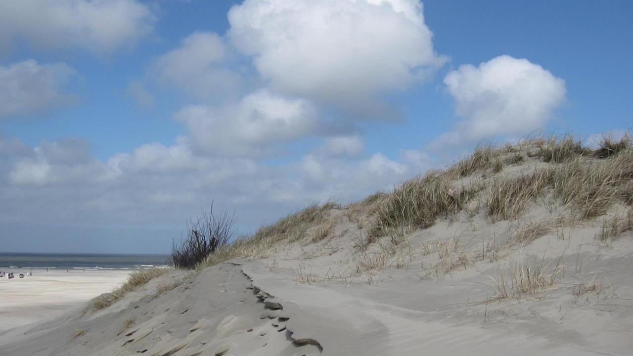 Dünen und Sandstrand an der Nordküste der Insel Norderney Dünen und Sandstrand an der Nordküste der Insel Norderney