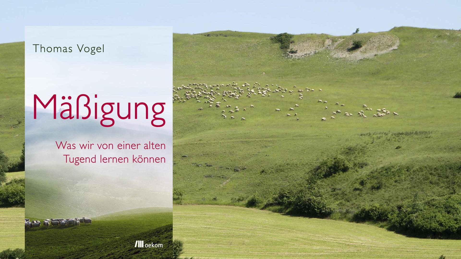 Cover von "Mäßigung" vor einem grünen Hügel mit Schafen. Cover von "Mäßigung" vor einem grünen Hügel mit Schafen.