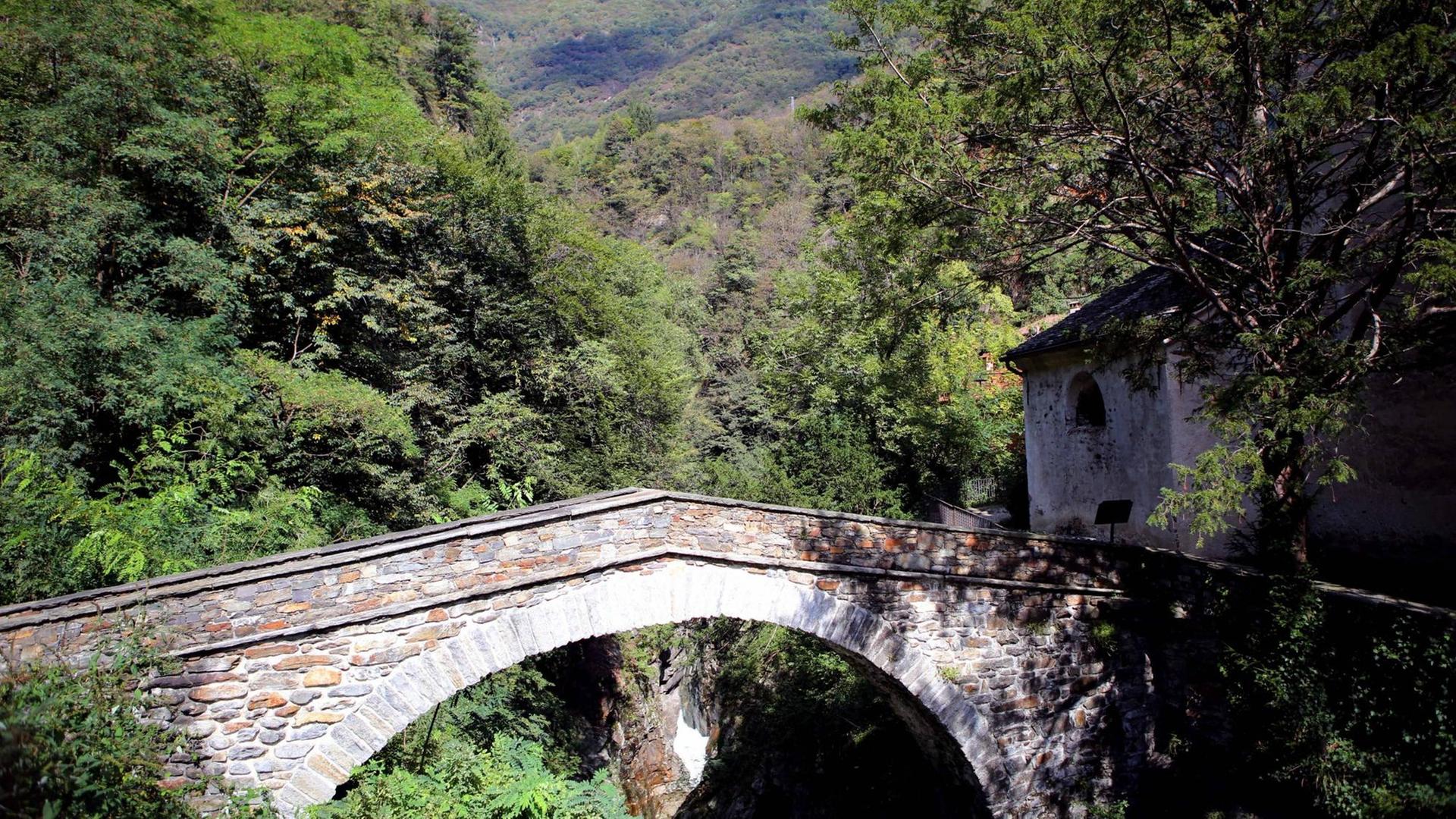 Das Valle Cannobina ( deutsch auch Cannobinertal oder Cannobinatal, lom. Val Cannobina ) ist ein recht wenig erschlossenes Tal im Piemont in der italienischen Provinz Verbano-Cusio-Ossola. Das Valle Cannobina ( deutsch auch Cannobinertal oder Cannobinatal, lom. Val Cannobina ) ist ein recht wenig erschlossenes Tal im Piemont in der italienischen Provinz Verbano-Cusio-Ossola.