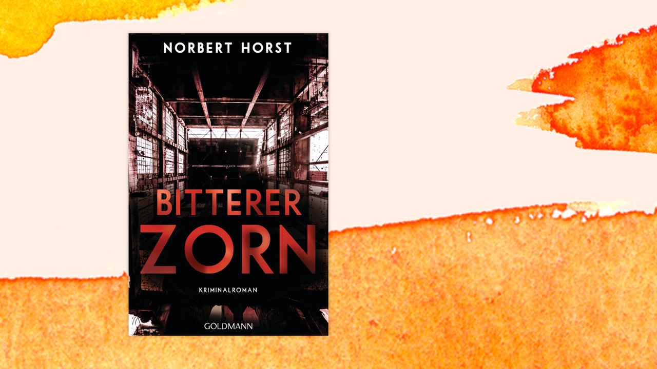 Buchcover zu "Bitterer Zorn" von Norbert Horst.