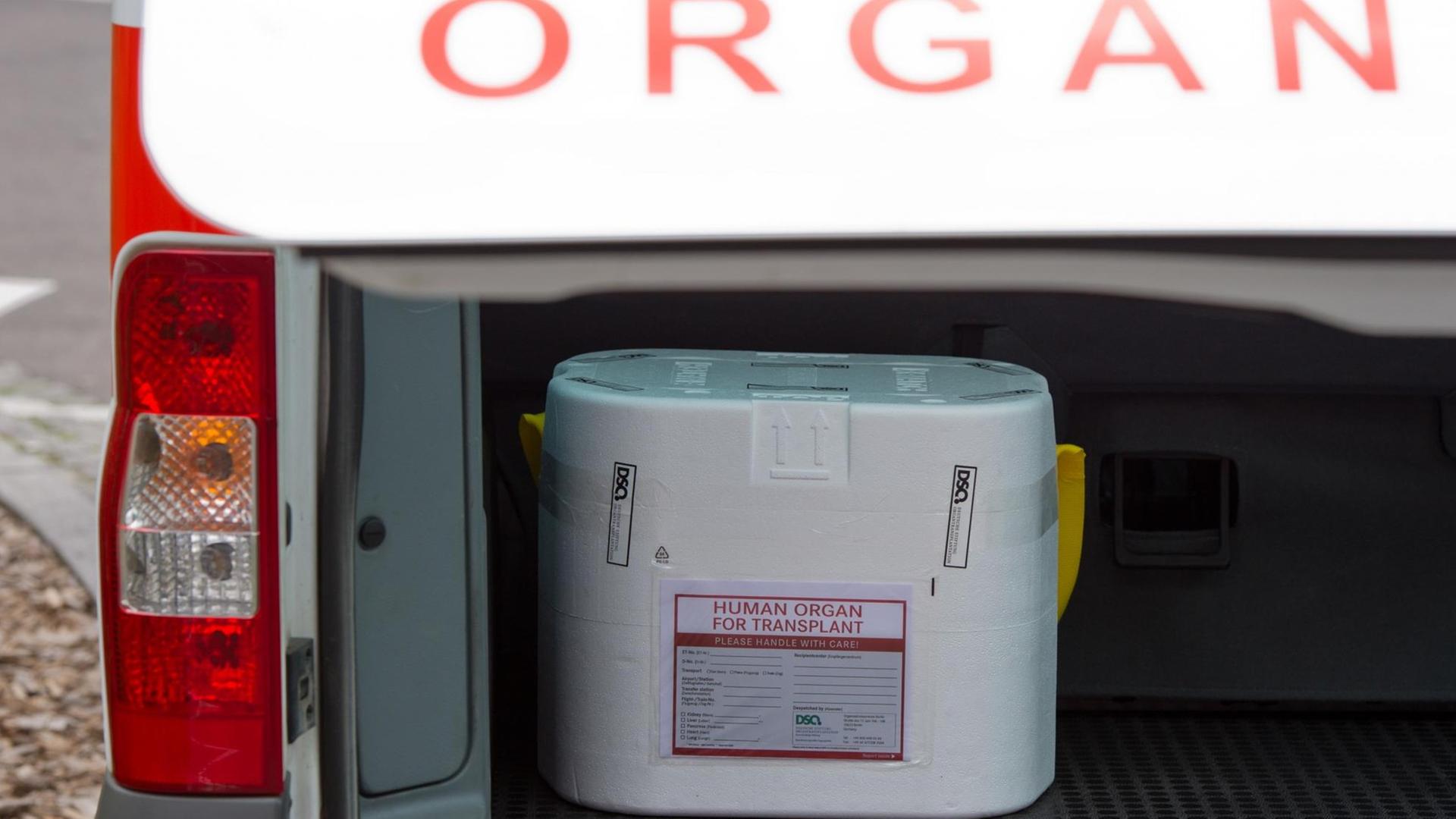 Ein Styropor-Behälter zum Transport von zur Transplantation vorgesehenen Organen wird zu einem Fahrzeug für den Organtransport gebracht. In derartigen keimfreien Behältern wird das zuvor mit einer speziellen Flüssigkeit gespülte und gekühlte Spenderorgan schnellstmöglichst in ein Transplantationszentrum zum Patienten transportiert. Ein Styropor-Behälter zum Transport von zur Transplantation vorgesehenen Organen wird zu einem Fahrzeug für den Organtransport gebracht. In derartigen keimfreien Behältern wird das zuvor mit einer speziellen Flüssigkeit gespülte und gekühlte Spenderorgan schnellstmöglichst in ein Transplantationszentrum zum Patienten transportiert.