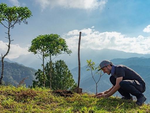 Bamboo Basti pflanzt einen Baumsetzling auf eine grüne Hügelkuppe.
