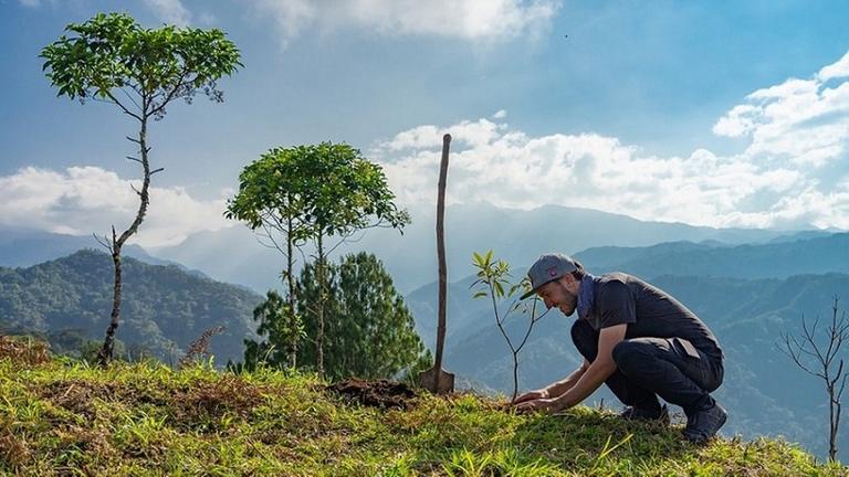 Bamboo Basti pflanzt einen Baumsetzling auf eine grüne Hügelkuppe. Bamboo Basti pflanzt einen Baumsetzling auf eine grüne Hügelkuppe.