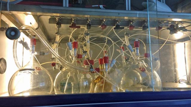 In einem Glasschrank an der Uni Hamburg stehen Glaskolben mit Flüssigkeiten