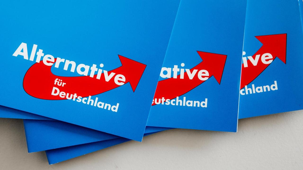 Das Logo der Alternative für Deutschland (AfD) ist am 10.09.2016 in Rendsburg (Schleswig-Holstein) auf dem Landesparteitag der AfD auf Parteibroschüren zu sehen. Das Logo der Alternative für Deutschland (AfD) ist am 10.09.2016 in Rendsburg (Schleswig-Holstein) auf dem Landesparteitag der AfD auf Parteibroschüren zu sehen.