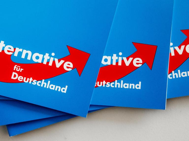 Das Logo der Alternative für Deutschland (AfD) ist am 10.09.2016 in Rendsburg (Schleswig-Holstein) auf dem Landesparteitag der AfD auf Parteibroschüren zu sehen.
