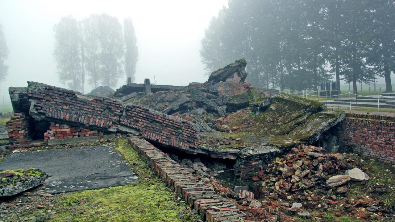Bei ihrer Flucht im Januar 1945 versuchte die SS die Spuren ihrer Verbrechen im Konzentrations- und Vernichtungslager Auschwitz zu beseitigen und sprengte in Auschwitz-Birkenau alle Krematorien mit den vorgeschalteten Gaskammern. Hier die Ruine des Krematoriums III, aufgenommen am 05.12.2014. 1,1 Millionen Menschen wurden in Auschwitz-Birkenau ermordet Bei ihrer Flucht im Januar 1945 versuchte die SS die Spuren ihrer Verbrechen im Konzentrations- und Vernichtungslager Auschwitz zu beseitigen und sprengte in Auschwitz-Birkenau alle Krematorien mit den vorgeschalteten Gaskammern. Hier die Ruine des Krematoriums III, aufgenommen am 05.12.2014. 1,1 Millionen Menschen wurden in Auschwitz-Birkenau ermordet