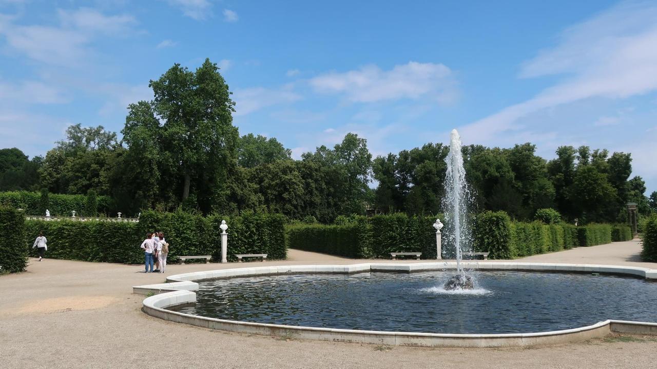 Rondell ohne Rotbuche in Sanssouci Rondell ohne Rotbuche in Sanssouci