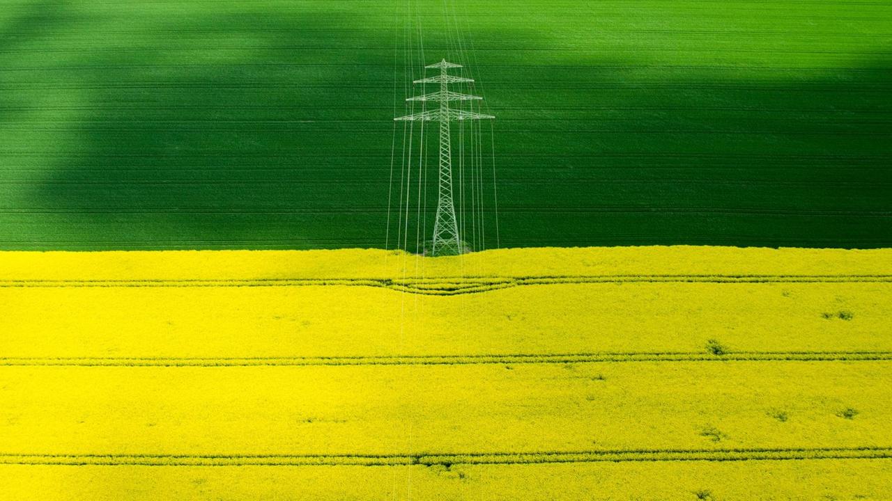 Ein Mast einer Hochspannungsleitung steht am 07.05.2015 zwischen einem gelb blühenden Raspfeld und einem grünen Feld. Ein Mast einer Hochspannungsleitung steht am 07.05.2015 zwischen einem gelb blühenden Raspfeld und einem grünen Feld.