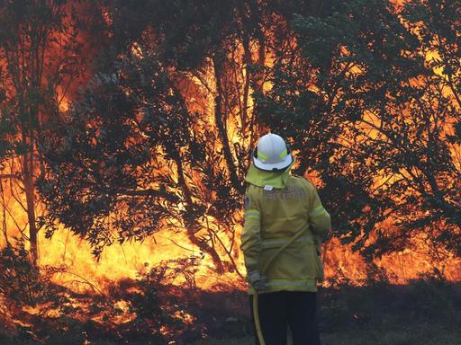 Ein Feuerwehrmann steht mit einem Feuerwehrschlauch vor einem lodernden Buschfeuer.