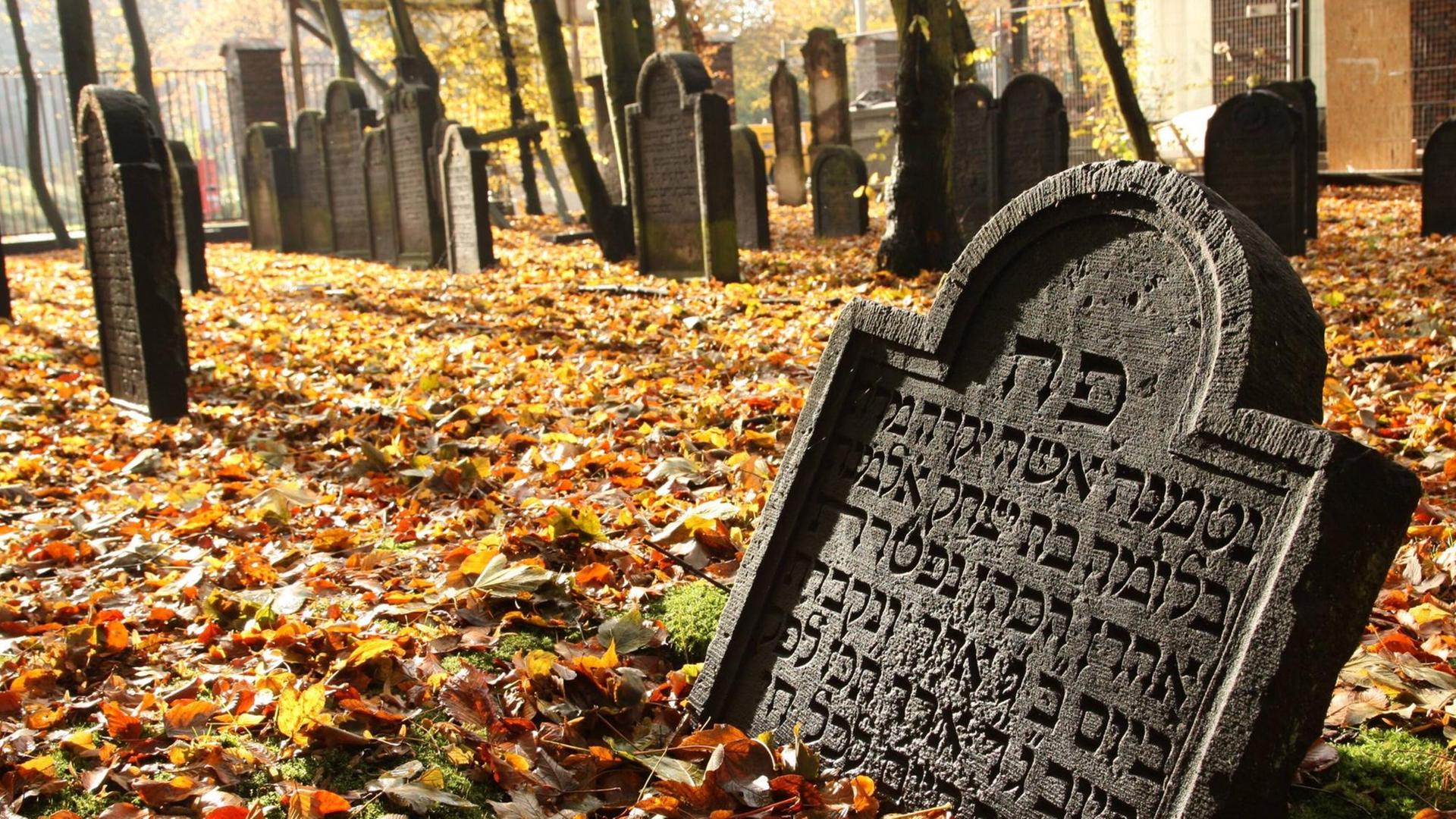 Der jüdische Friedhof Königstraße in Hamburg-Altona mit seinen charakteristischen Grabsteinen gilt als bedeutendes Kulturdenkmal des Judentums in Nordwesteuropa. Der jüdische Friedhof Königstraße in Hamburg-Altona mit seinen charakteristischen Grabsteinen gilt als bedeutendes Kulturdenkmal des Judentums in Nordwesteuropa.