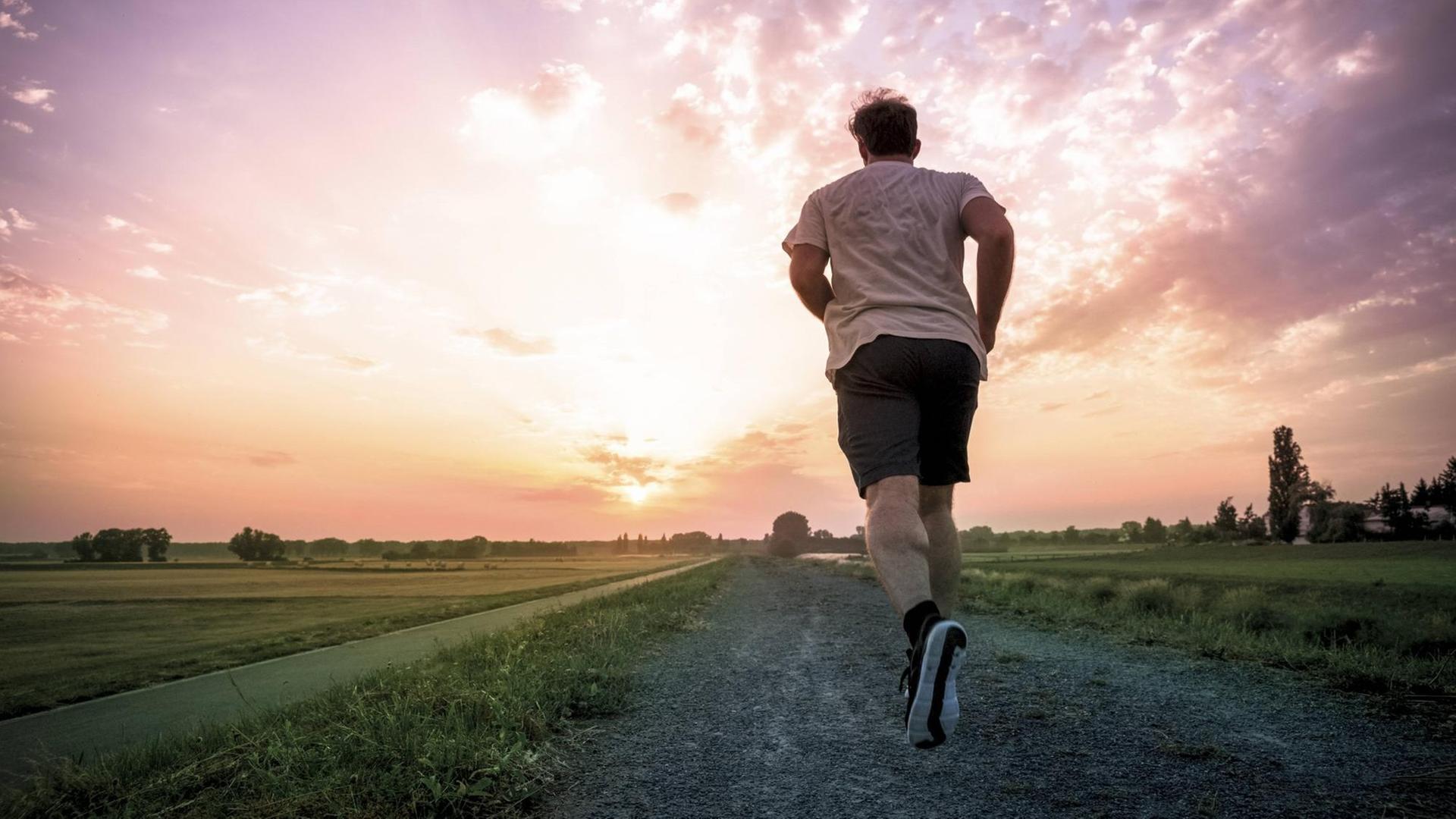 Ein Jogger im Abendrot. Ein Jogger im Abendrot.