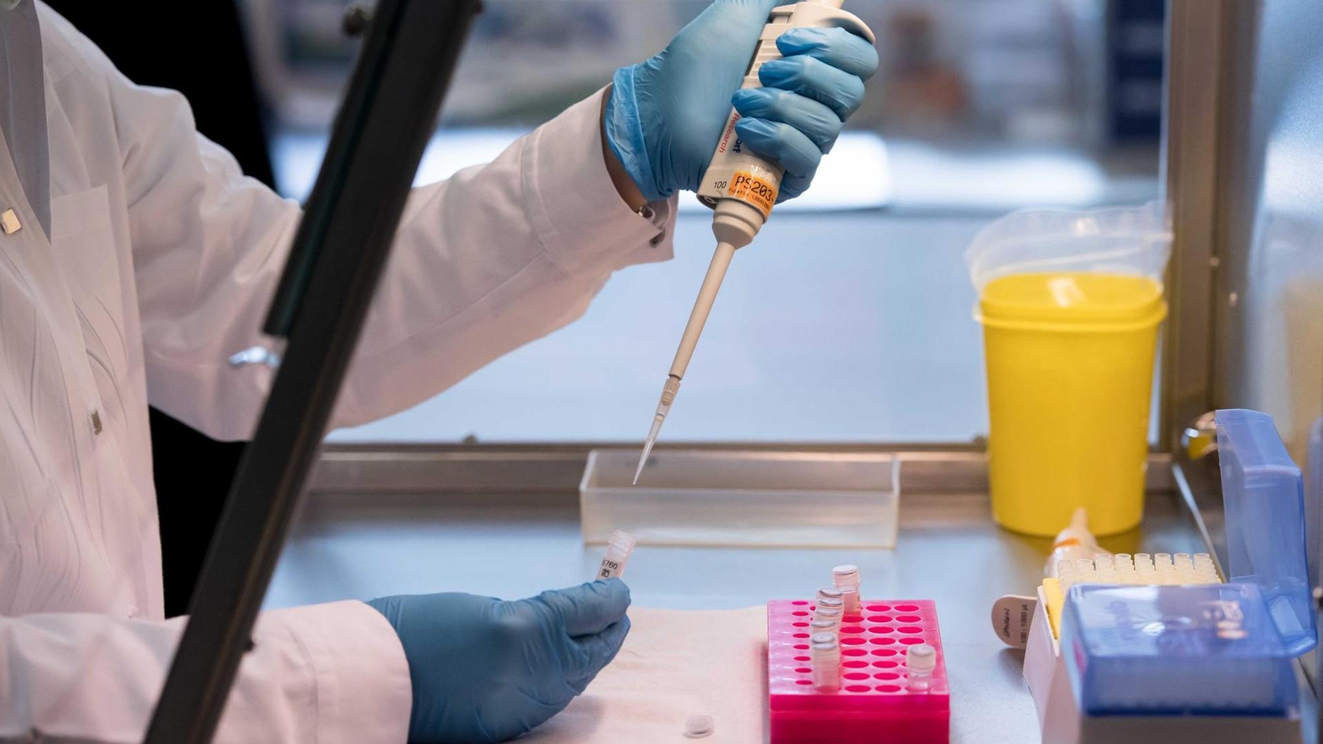 Eine Labormitarbeiterin im DNA-Labor des Bayerischen Landeskriminalamtes (LKA) in München (Bayern) bereitet am 09.11.2016 eine DNA-Probe für die molekularbiologische Analyse vor. Foto: Sven Hoppe/dpa | Verwendung weltweit Eine Labormitarbeiterin im DNA-Labor des Bayerischen Landeskriminalamtes (LKA) in München (Bayern) bereitet am 09.11.2016 eine DNA-Probe für die molekularbiologische Analyse vor. Foto: Sven Hoppe/dpa | Verwendung weltweit