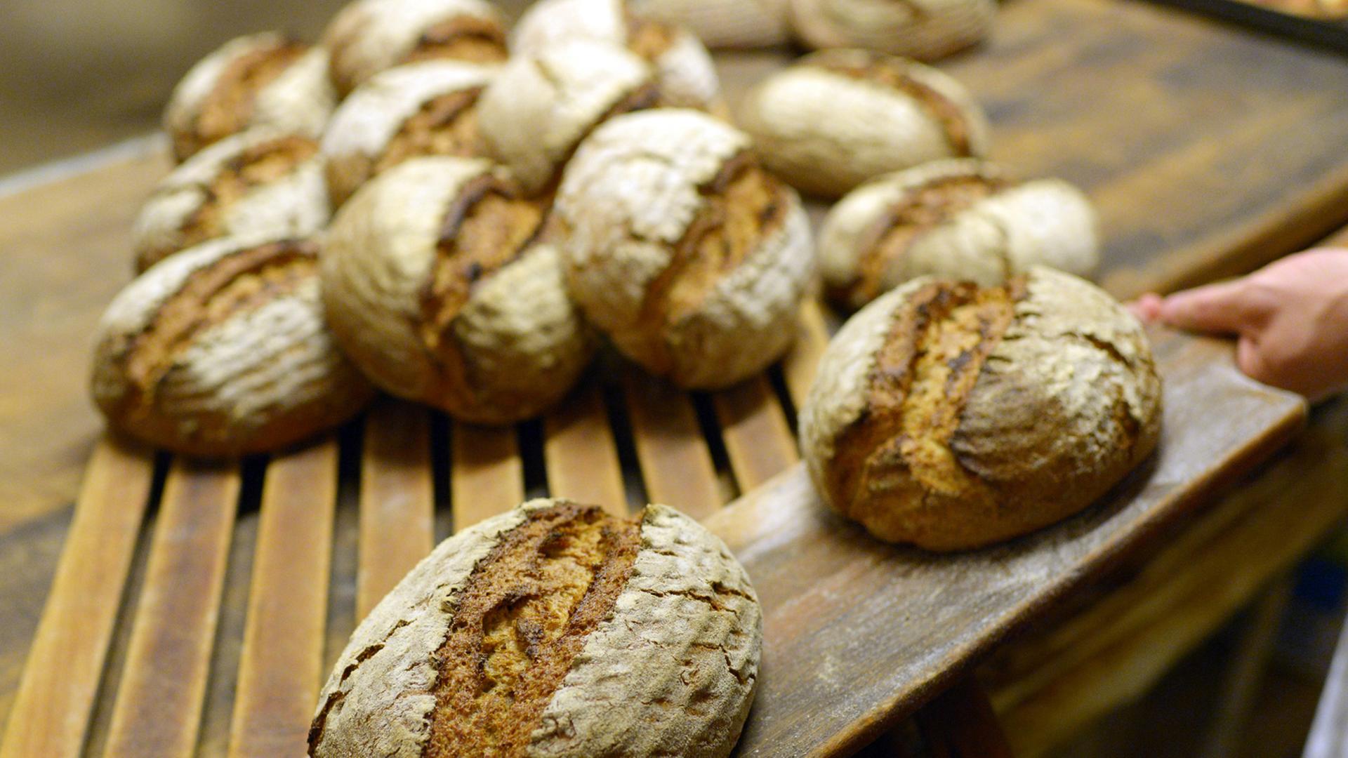 Roggenbrote kommen am 30.04.2014 in der Backstube des Biobäckers "Brotgarten" in Berlin aus dem Ofen. Roggenbrote kommen am 30.04.2014 in der Backstube des Biobäckers "Brotgarten" in Berlin aus dem Ofen.