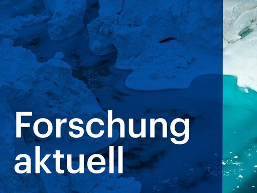 Forschung Aktuell