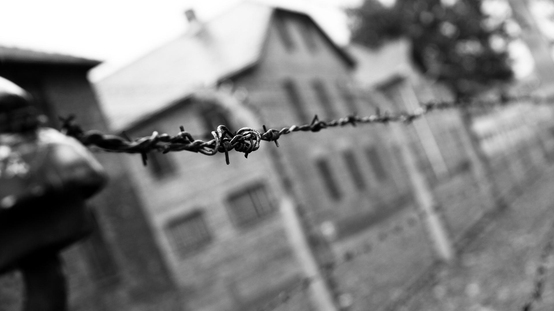 Das Konzentrationslager Auschwitz-Birkenau. Das Konzentrationslager Auschwitz-Birkenau.