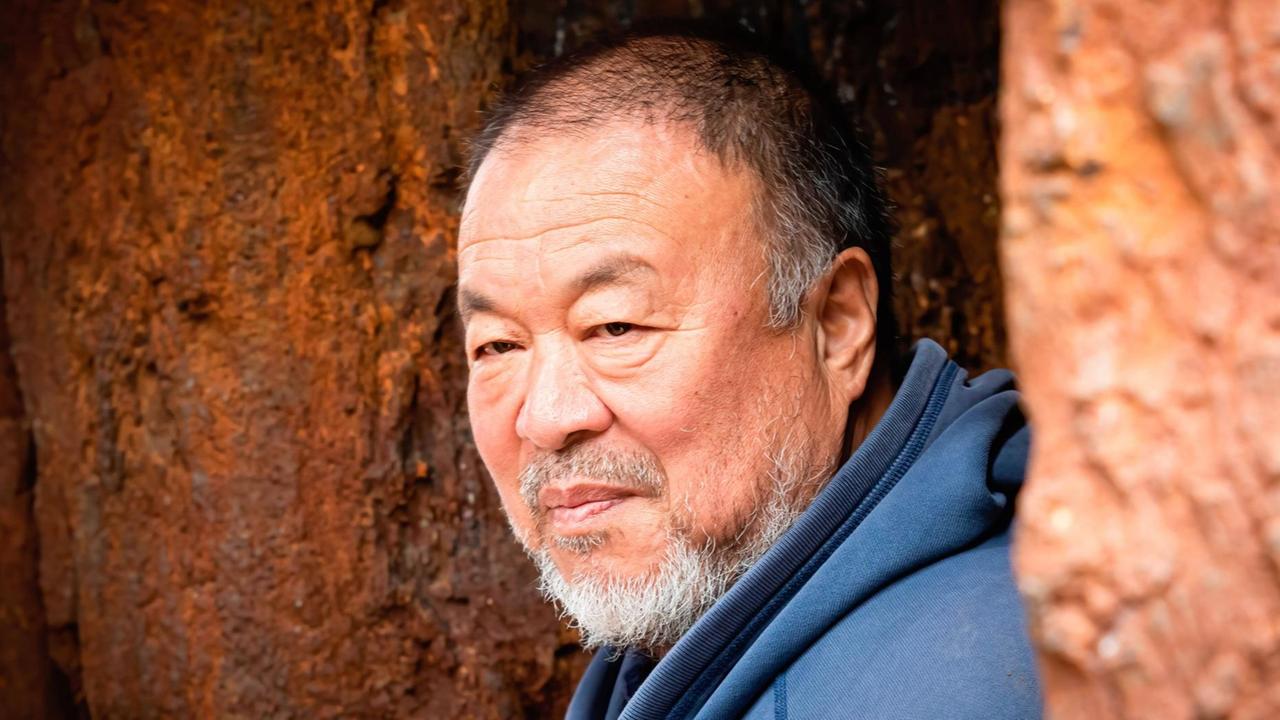 Ai Weiwei steht zwischen zwei Bäumen und blickt skeptisch in die Ferne.