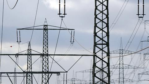 Etliche Stromleitungen stehen am 27.01.2014 bei Pfungstadt (Hessen).