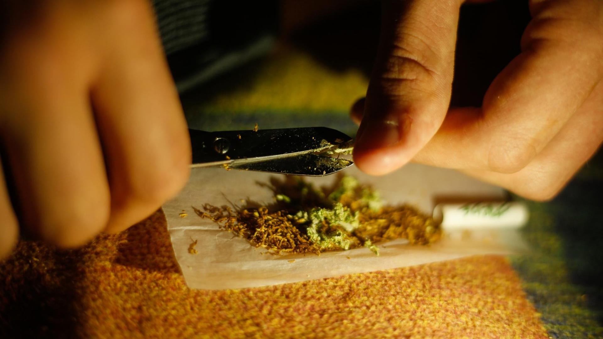 Ein Mann mischt Cannabis in einen Joint. Ein Mann mischt Cannabis in einen Joint.
