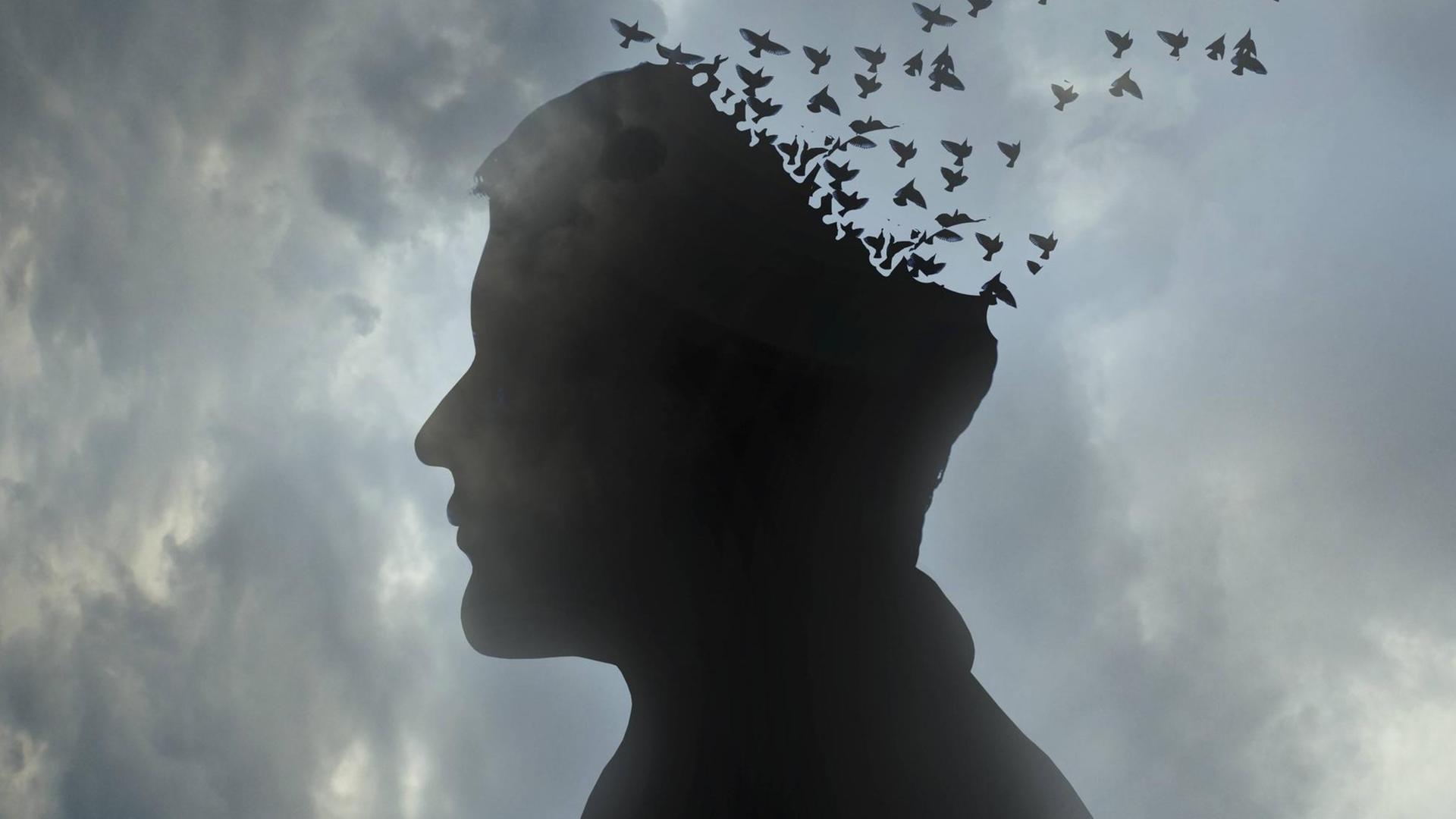 Illustration: Kopf eines Mannes löst sich auf in einen wegfliegenden Vogelschwarm.