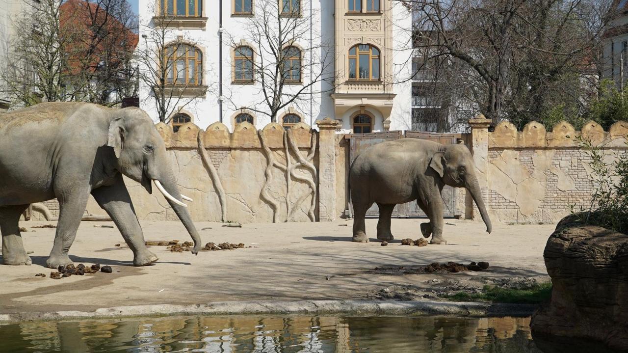 Immersion bedeutet im Zoo Eintauchen in die Tierwelt wie auf einer Safari Immersion bedeutet im Zoo Eintauchen in die Tierwelt wie auf einer Safari