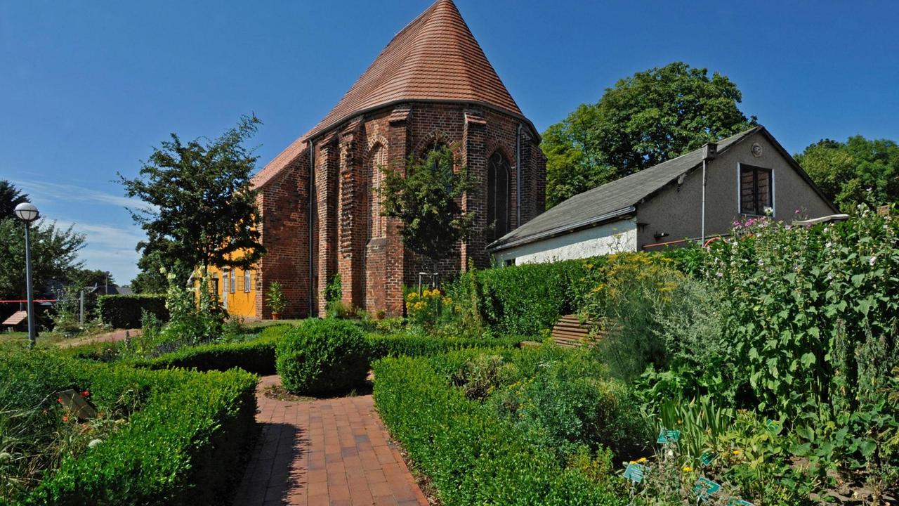 Ein Blick auf den Bibelgarten in Barth: Der Bibelgarten in Barth ist gerade mal 100 Quadratmeter groß. Und doch steckt er voller Informationen. Ein Blick auf den Bibelgarten in Barth: Der Bibelgarten in Barth ist gerade mal 100 Quadratmeter groß. Und doch steckt er voller Informationen.