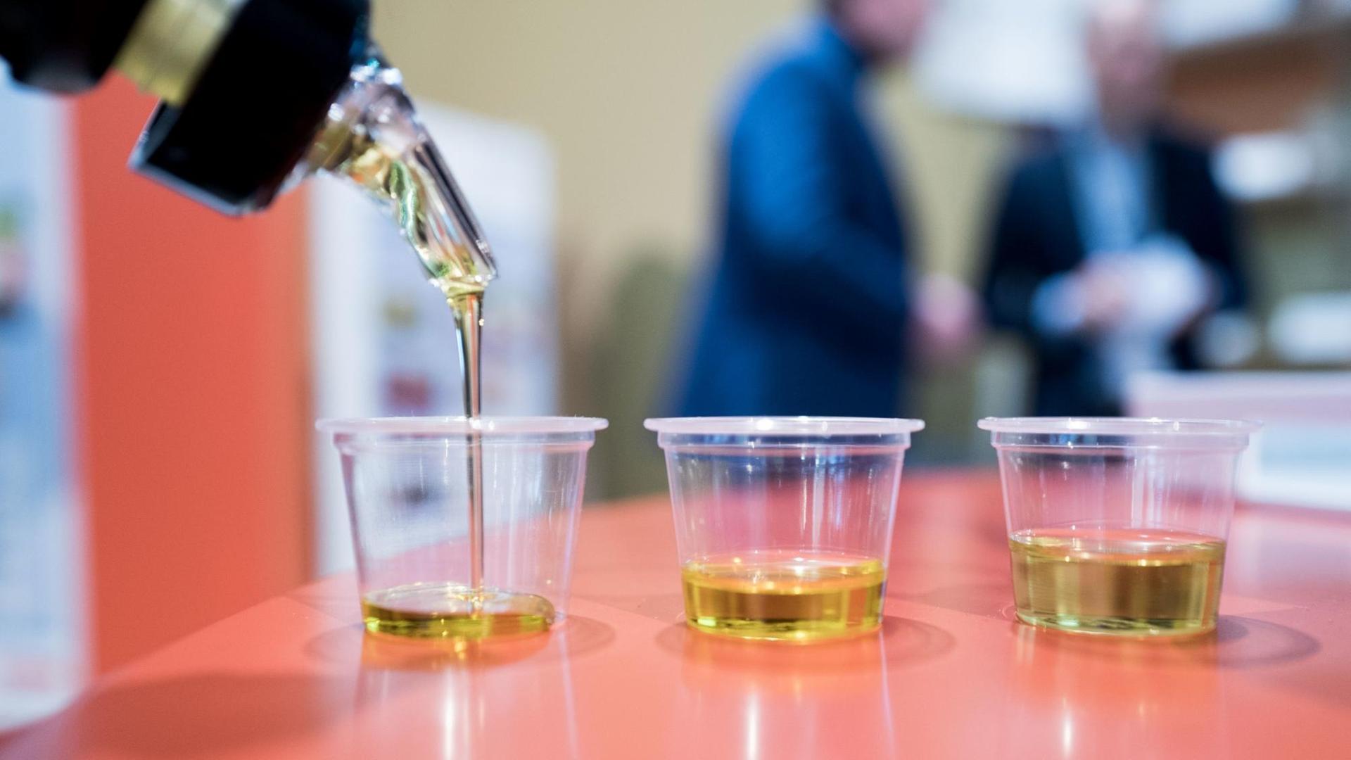 Auf der Grünen Woche werden unterschiedliche Speiseöle am 20.01.2017 in Berlin abgefüllt. Zwei der Becher enthalten Olivenöl, einer enthält Rapsöl. Auf der Grünen Woche werden unterschiedliche Speiseöle am 20.01.2017 in Berlin abgefüllt. Zwei der Becher enthalten Olivenöl, einer enthält Rapsöl.