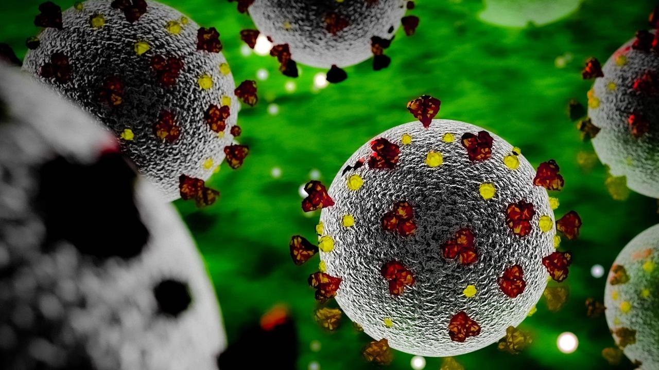 3D-Modell des Coronavirus SARS-CoV2 3D-Modell des Coronavirus SARS-CoV2