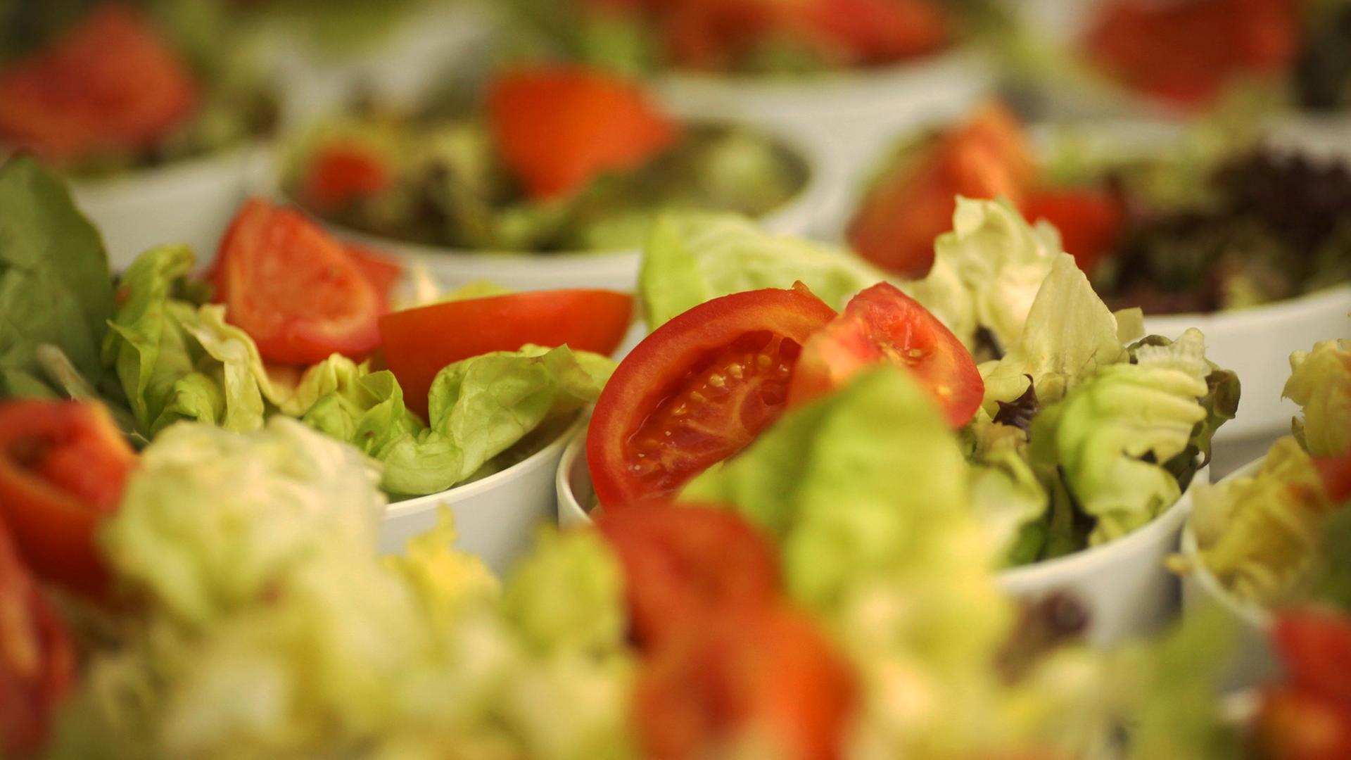 Kleine Beilagen-Salat-Teller garniert mit Tomaten Kleine Beilagen-Salat-Teller garniert mit Tomaten