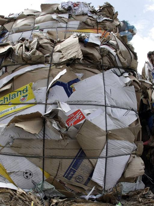 Meterhohe gepresste Altpapierblöcke auf einem Recylinghof