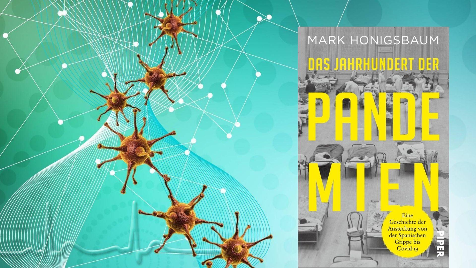 Buchcover: Mark Honigsbaum: „Das Jahrhundert der Pandemien", Hintergrund: 3D-Darstellung von Viren