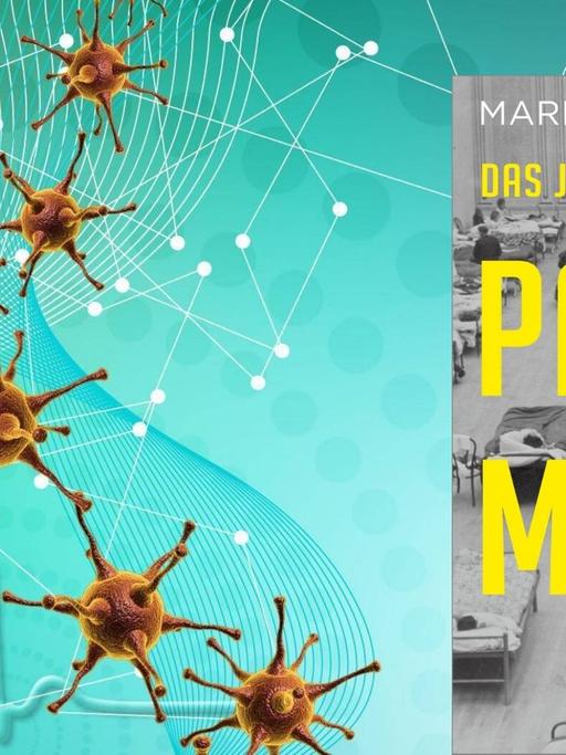 Buchcover: Mark Honigsbaum: „Das Jahrhundert der Pandemien", Hintergrund: 3D-Darstellung von Viren