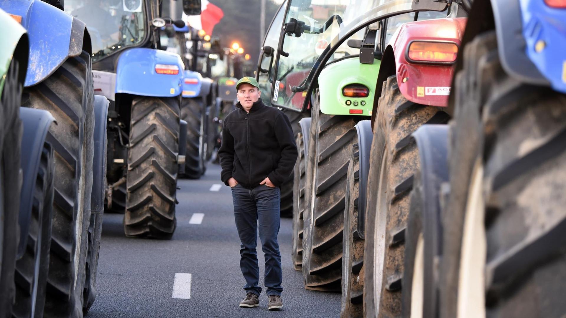 Traktoren stehen in zwei langen Reihen auf der Straße, dazwischen ein Mann. Traktoren stehen in zwei langen Reihen auf der Straße, dazwischen ein Mann.