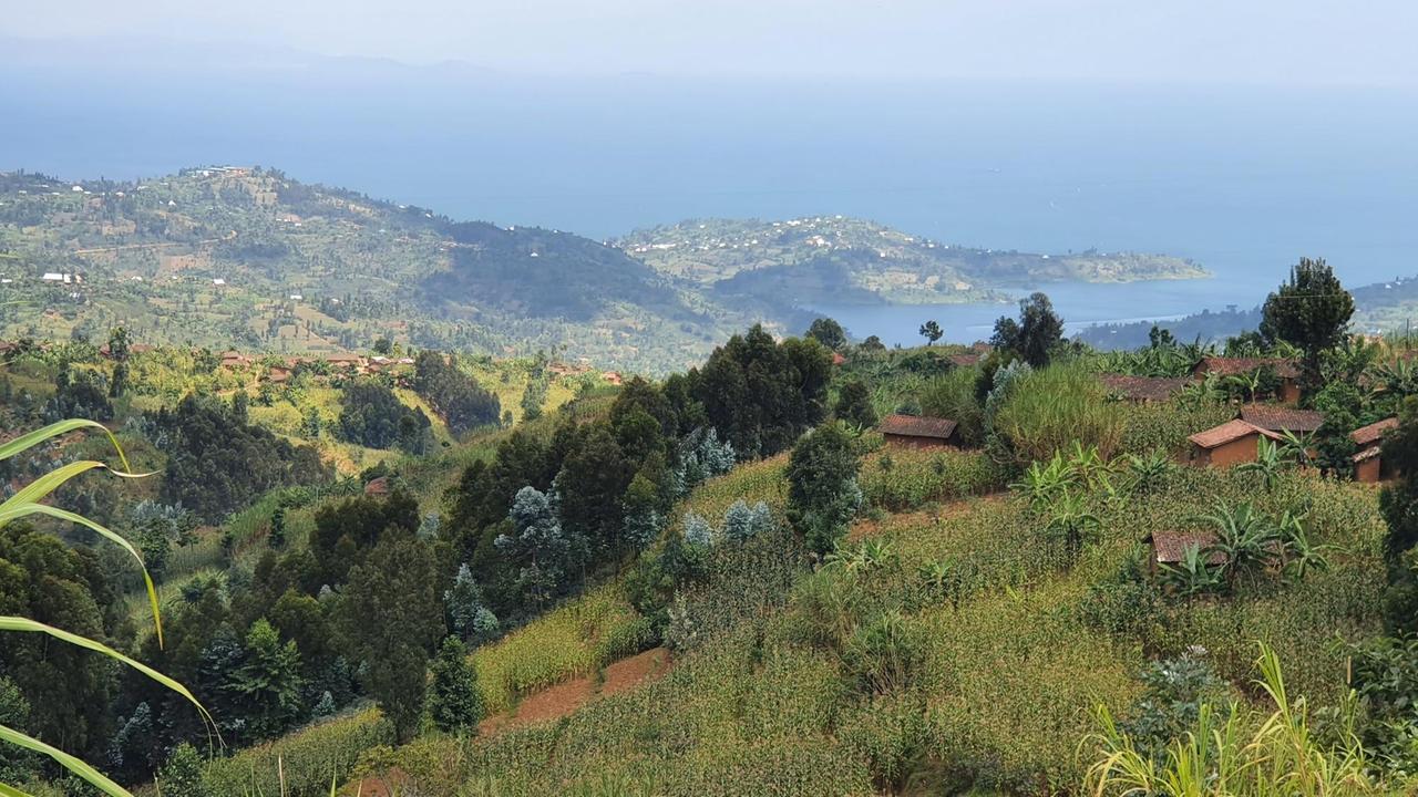 Blick auf das Südufer des Kivu-Sees bei der Stadt Kibuye. Grüne Hügel mit Hütten, im Hintergrund der riesige See. Blick auf das Südufer des Kivu-Sees bei der Stadt Kibuye. Grüne Hügel mit Hütten, im Hintergrund der riesige See.