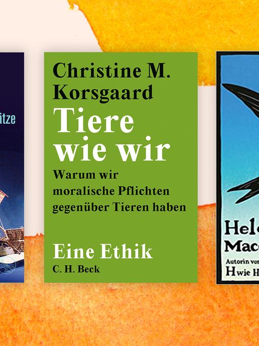 Die Cover der Top drei der Sachbuchbestenliste von links nach rechts: Götz Alys "Das Prachtboot" , Christine M. Korsgaards "Tiere wie wir" und Helen Macdonald "Abendflüge"