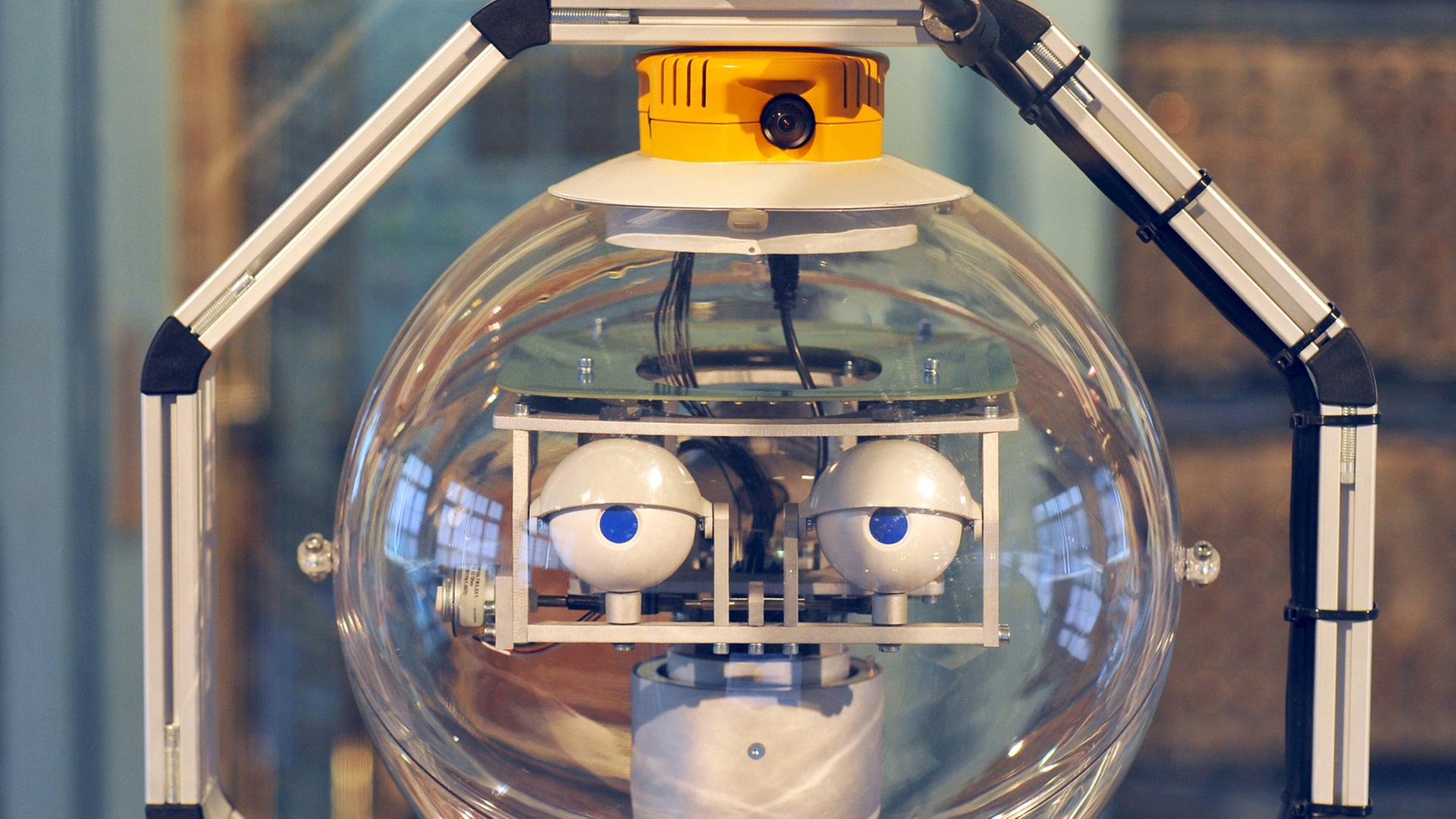 Ein Roboter von Studenten der Hochschule für Technik und Wirtschaft. Ein Roboter von Studenten der Hochschule für Technik und Wirtschaft.